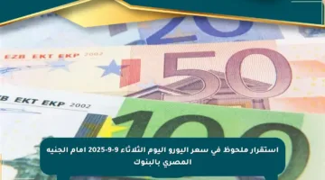 استقرار ملحوظ في سعر اليورو اليوم الثلاثاء 9-9-2025 أمام الجنيه المصري بالبنوك